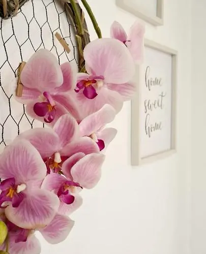 A 2 Minutos De La Playa Y Centro Апартаменты